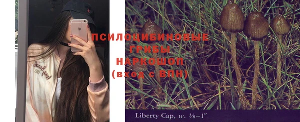 винт Вязьма