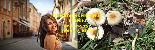 дмт Киреевск