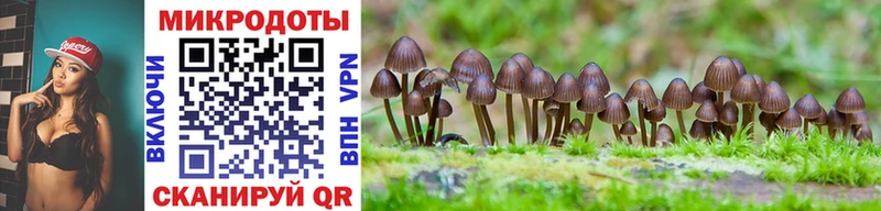 Галлюциногенные грибы Psilocybine cubensis  блэк спрут ссылка  Люберцы 