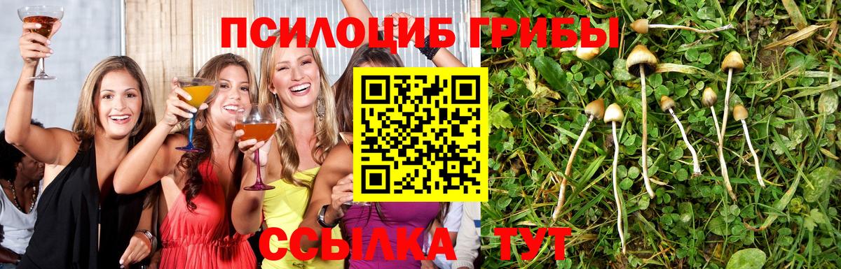 Псилоцибиновые грибы ЛСД  Вход с VPN  Люберцы 