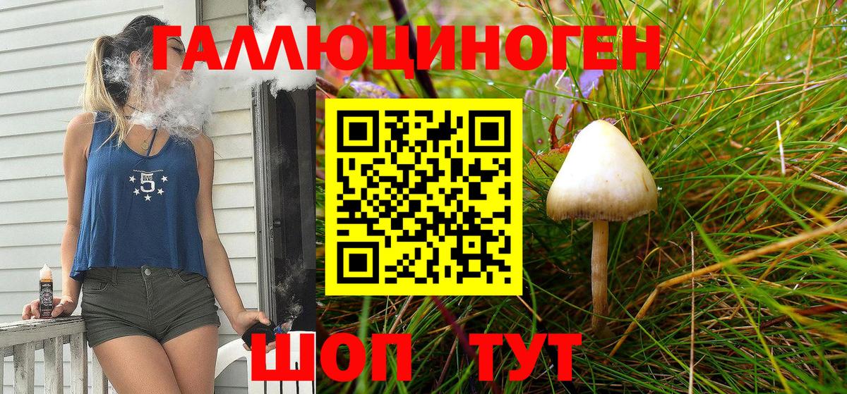 Галлюциногенные грибы GOLDEN TEACHER Люберцы