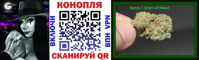 закладка  Люберцы  Бошки марихуана Ganja 